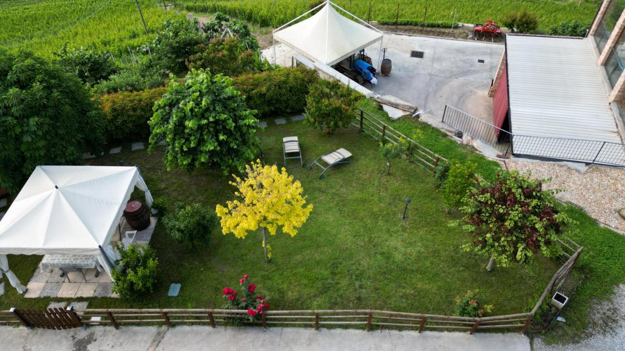 Sunny House Apartment Diano d'Alba Bagian luar foto